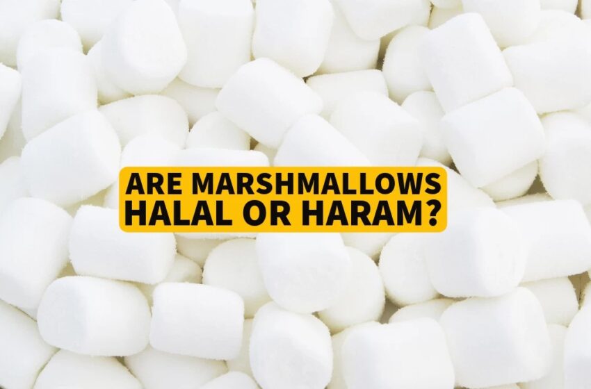  Are Marshmallows Halal or Haram? Can Muslims Eat It? 2023