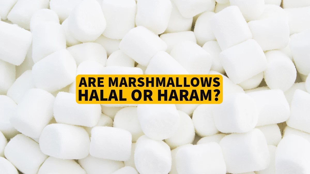 Are Marshmallows Halal or Haram? Can Muslims Eat It? 2023