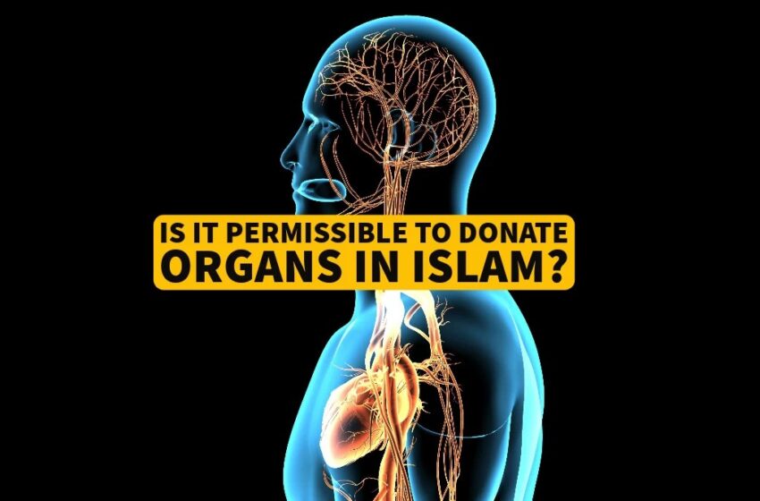  Is it Permissible to Donate Organs in Islam?