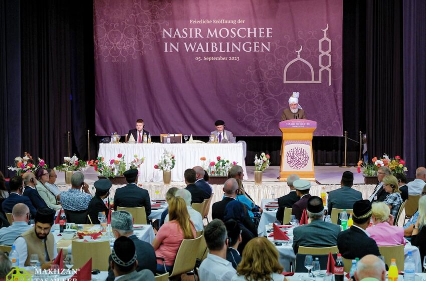  Love of Caliphate Blooms in Waiblingen