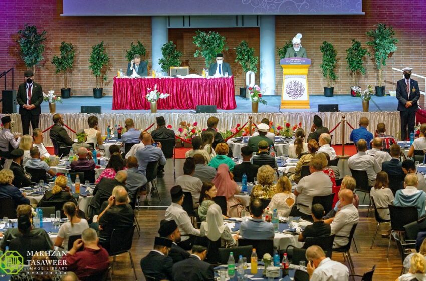  Love of Caliphate Blooms in Frankenthal