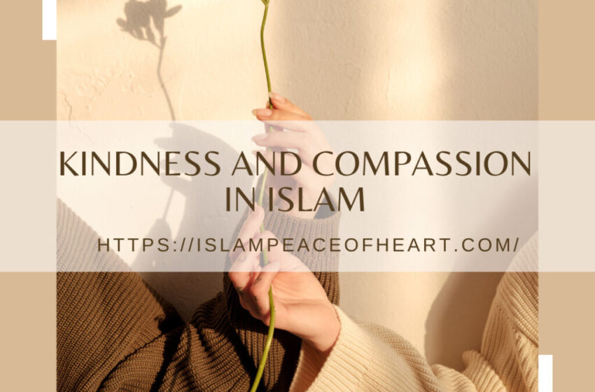 #Kindness and Compassion in Islam – Islam Peace Of Heart