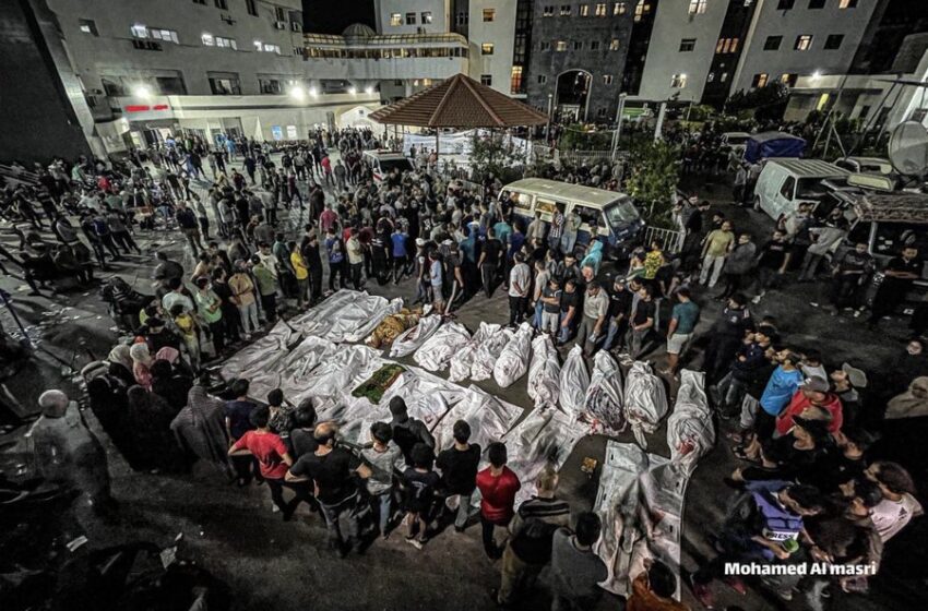  Here’s the Truth About Genocide in Gaza That Algorithms Hide