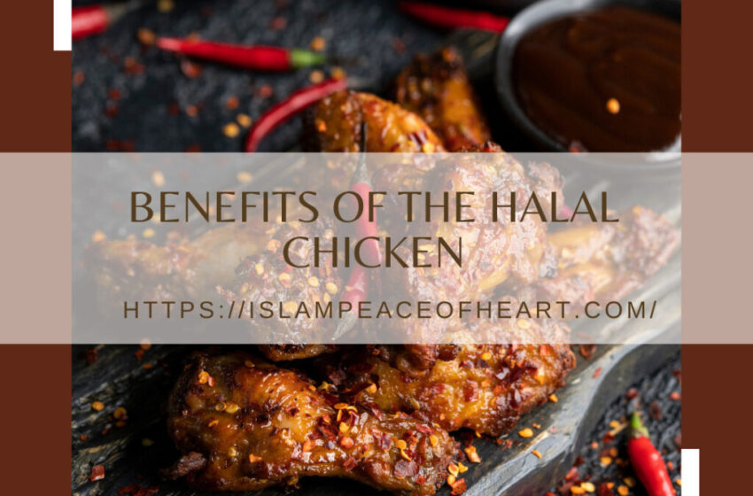  #Benefits Of The Halal Chicken – Islam Peace Of Heart