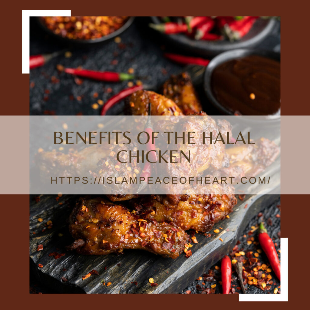 #Benefits Of The Halal Chicken – Islam Peace Of Heart