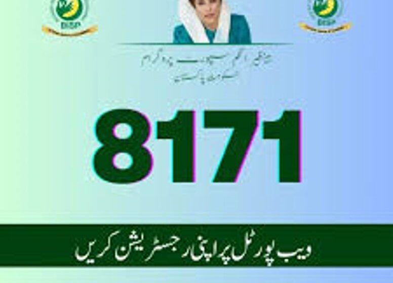  8171 is a social welfare program