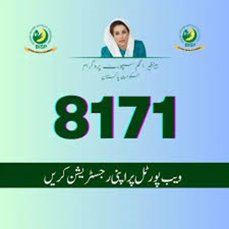 8171 is a social welfare program