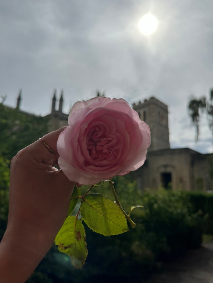 On Discovering New Ways the Heart Can Break