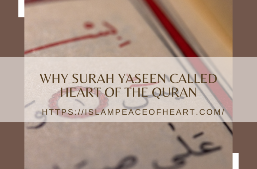  #Why Surah Yaseen Called Heart Of The Quran – Islam Peace