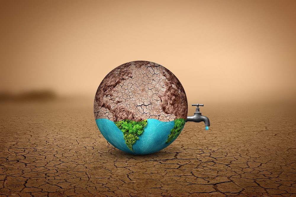 The Hallmarks of a Great Leader: Safeguarding the Environment 