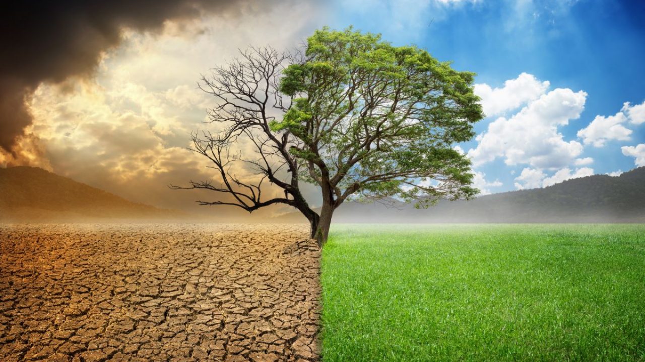 A Timeline of Practical Solutions to Establish World Peace – 2003-2024