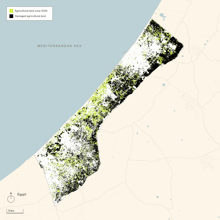 Groundbreaking New Forensic Report Maps Israel’s Genocide On Gaza