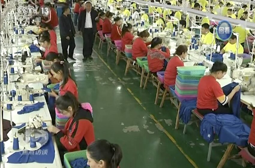  Is Your Temu Package Made With Uyghur Forced Labour?