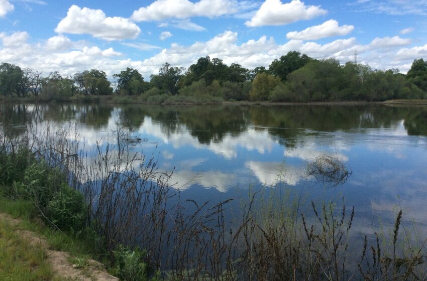  Moonshot [Part 21] – Swings Of An Axe