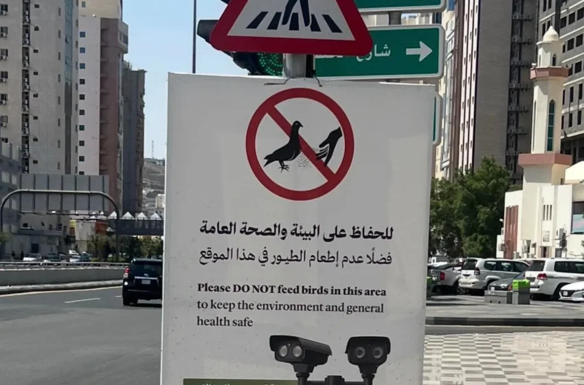  1,000 Riyal Fine Imposed for Feeding Pigeons near Masjid al Haram