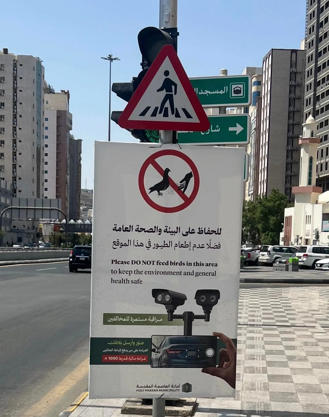 1,000 Riyal Fine Imposed for Feeding Pigeons near Masjid al Haram