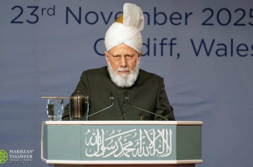  Love of Caliphate Blooms in Cardiff
