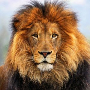 Moonshot [Part 30] – Two Rivers, Two Lives