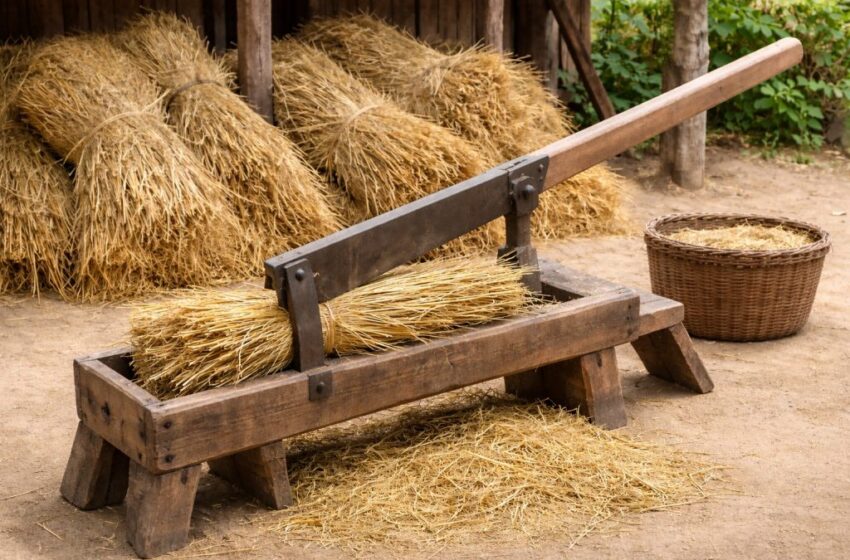  Far Away [Part 9] – Crane Dances In The River