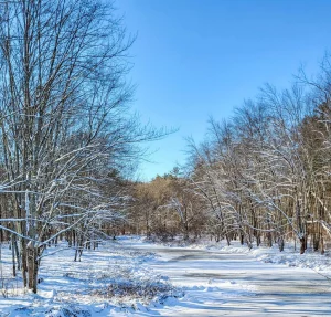  The Pilgrim [Part 3]: Not Your Fault – A Ramadan Story