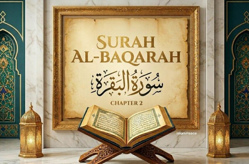  Surah Al Baqarah Hindi Translation (Surah 2) Full Explanation