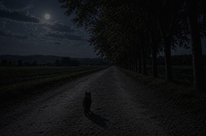  Far Away [Part 10] – Lost And Found