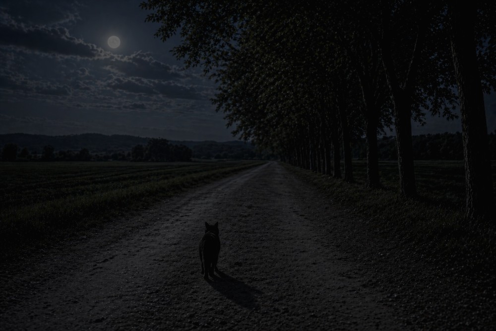 Far Away [Part 10] – Lost And Found