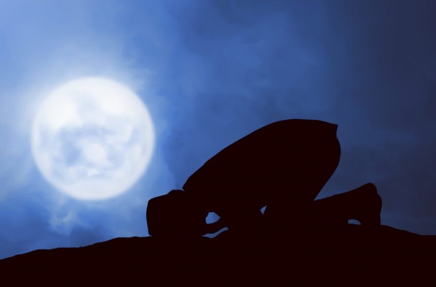  Namaz and Namaste: Links Between Persian and Sanskrit