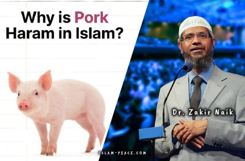  Why is Pork Haram in Islam? Quranic Reasons Explained
