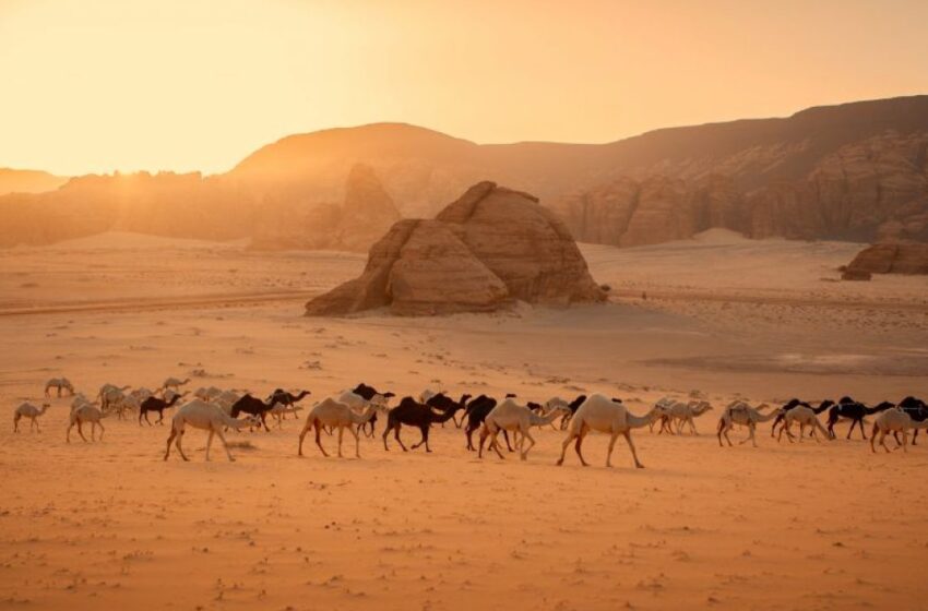  Life in Pre-Islamic Makkah – A Society on the Brink of Change