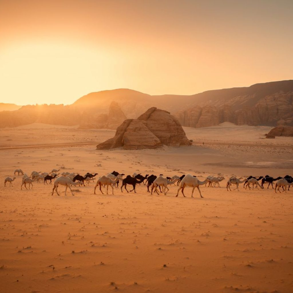 Life in Pre-Islamic Makkah – A Society on the Brink of Change