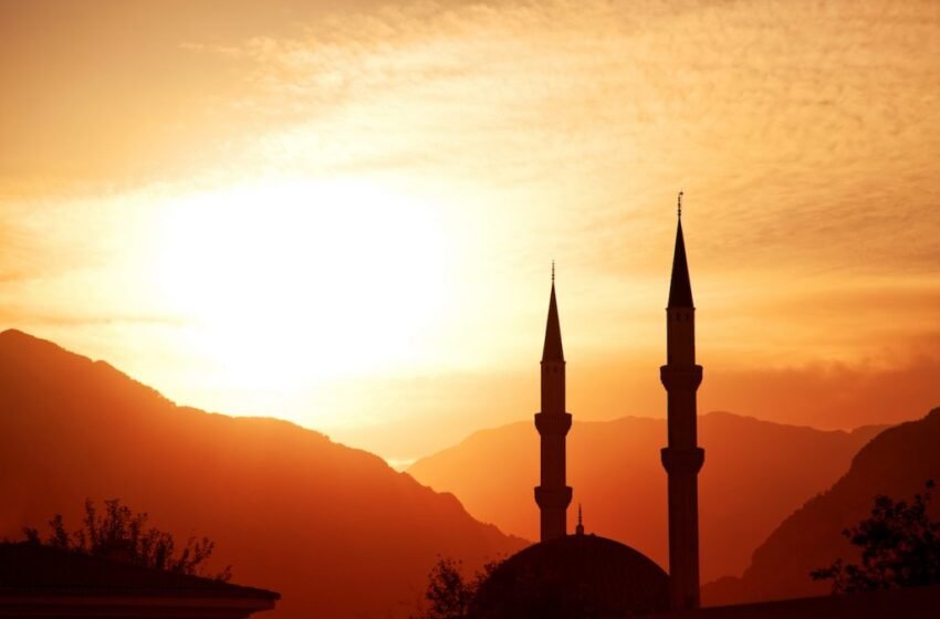  Gratitude | The Review of Religions