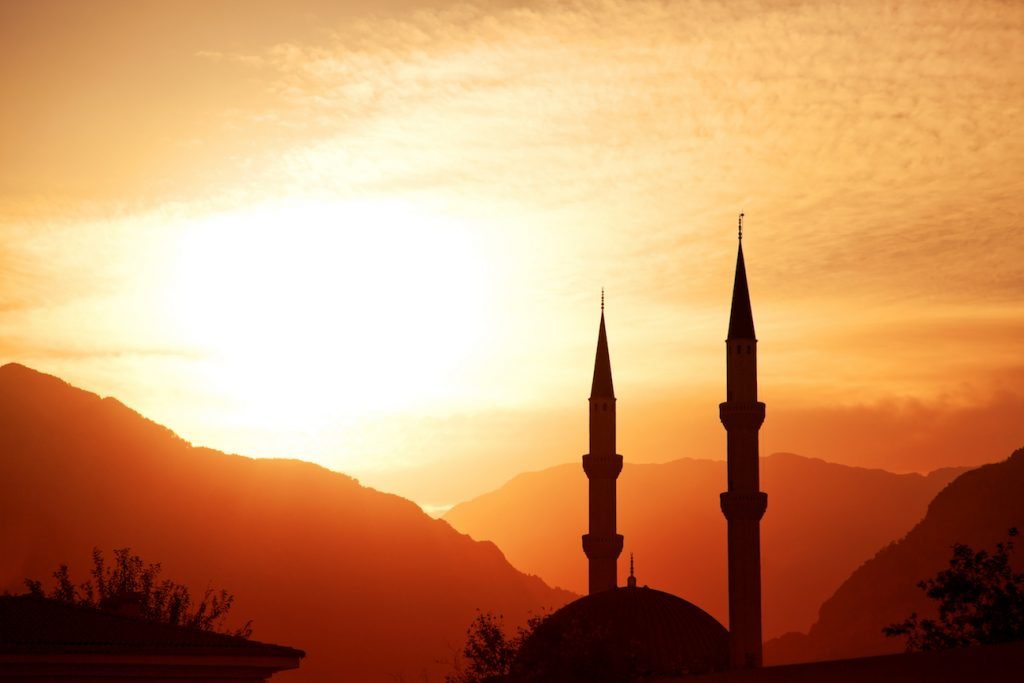 Gratitude | The Review of Religions
